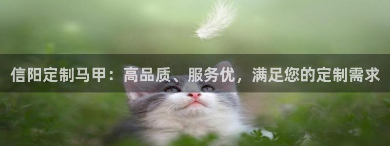 long8国际龙8